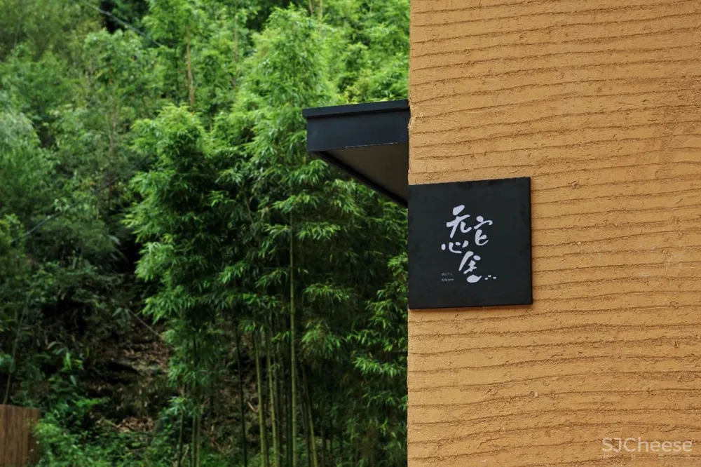 新挖到的隐秘玩水地, 直接睡入山溪间! 还原宫崎骏动漫里的夏天, 秒回无拘束童年时光