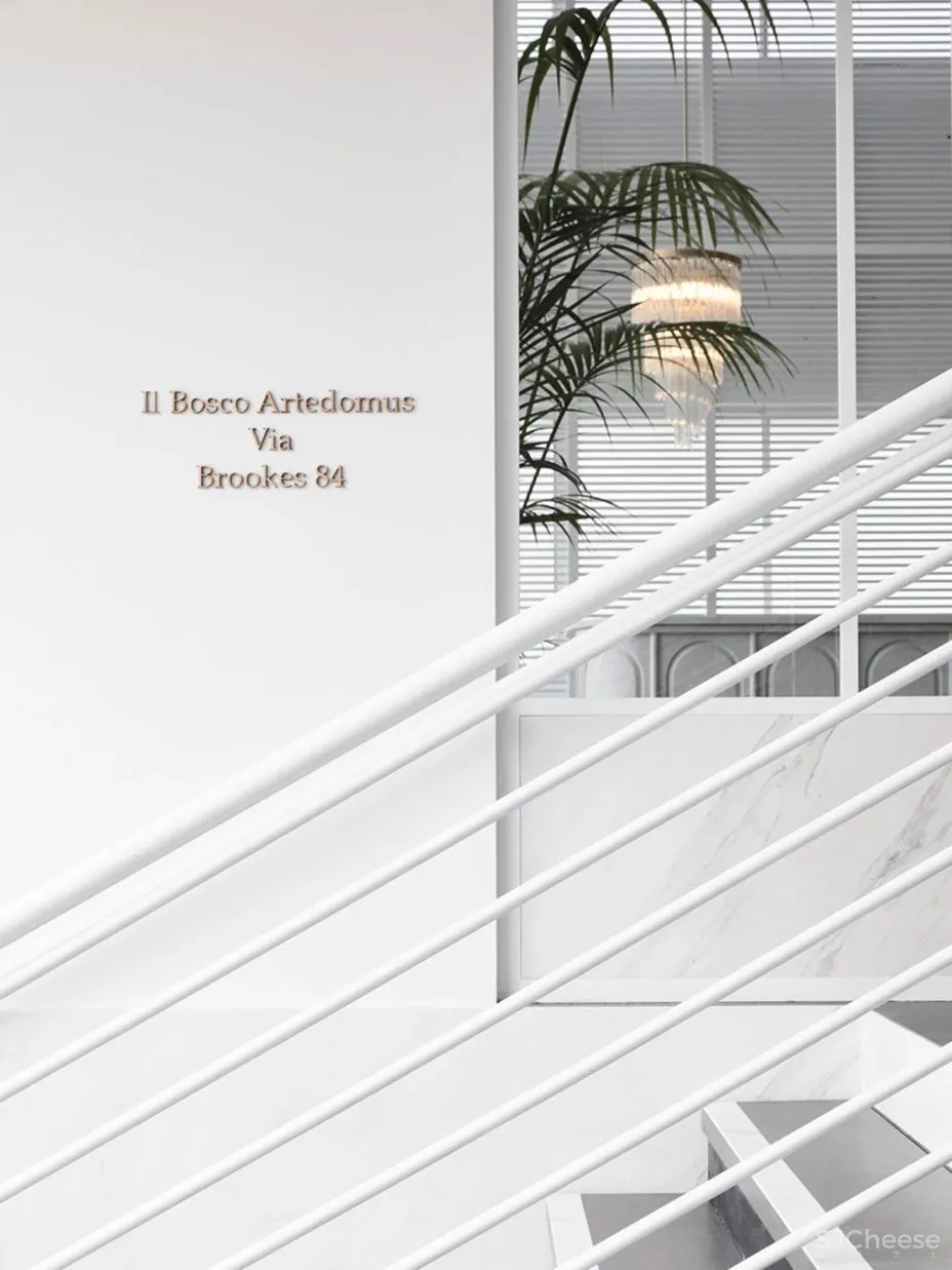 布里斯班 ARTEDOMUS 体验店 The Stella Collective 新作