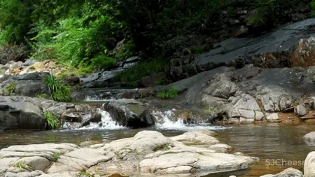 新挖到的隐秘玩水地, 直接睡入山溪间! 还原宫崎骏动漫里的夏天, 秒回无拘束童年时光