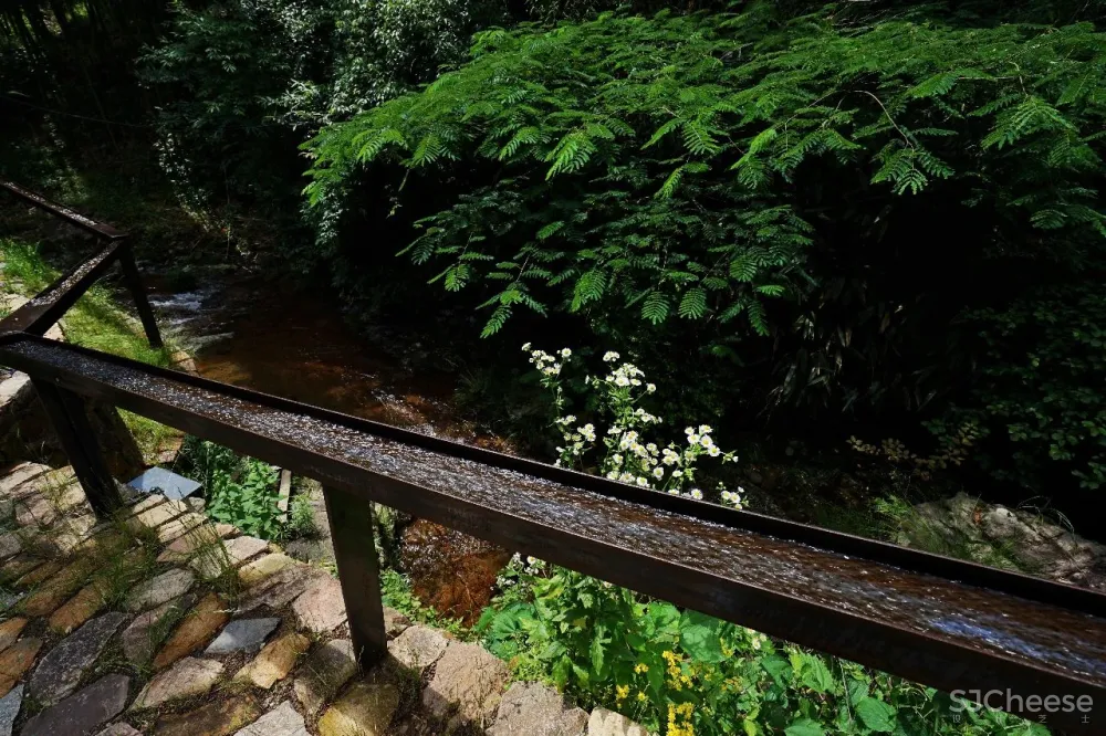 新挖到的隐秘玩水地, 直接睡入山溪间! 还原宫崎骏动漫里的夏天, 秒回无拘束童年时光