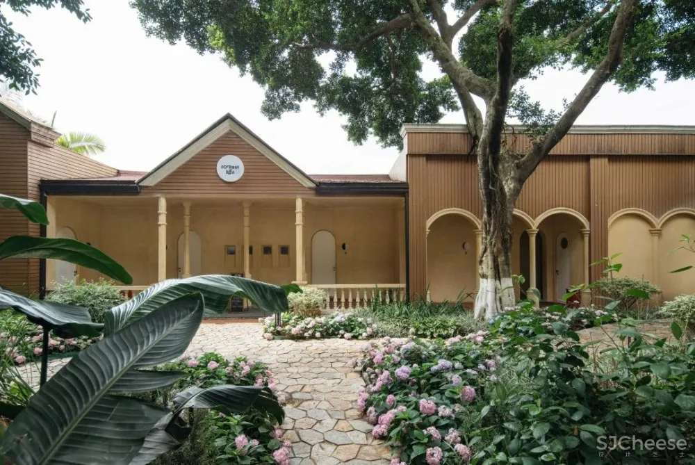 有光小旅馆:住进长江边的微型度假小岛,收获24小时不间断的“小确幸”