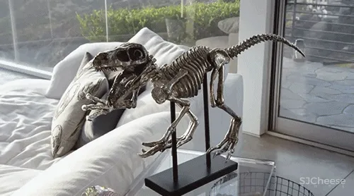 94年小伙买下近500m²豪宅,5间卧室,面朝大海,每一寸都是自己挣来的