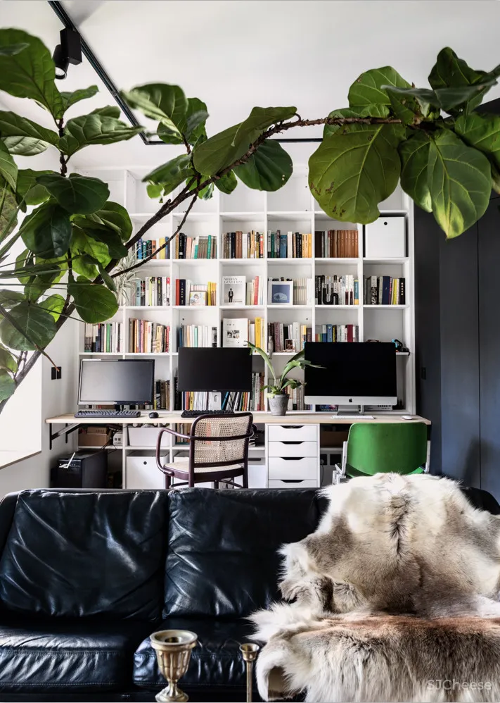 北京姑娘的63m²一室,满是植物标本、墨绿色彩!网友直呼:有仙气!