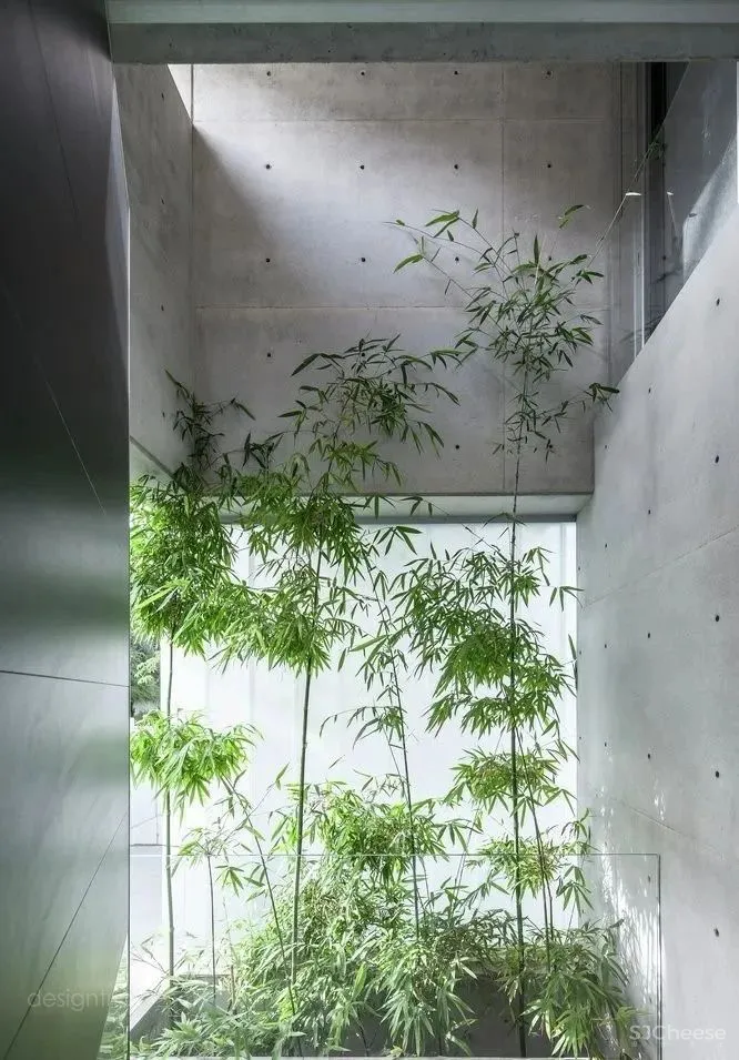 水泥墙，安之若素的静谧美学格调