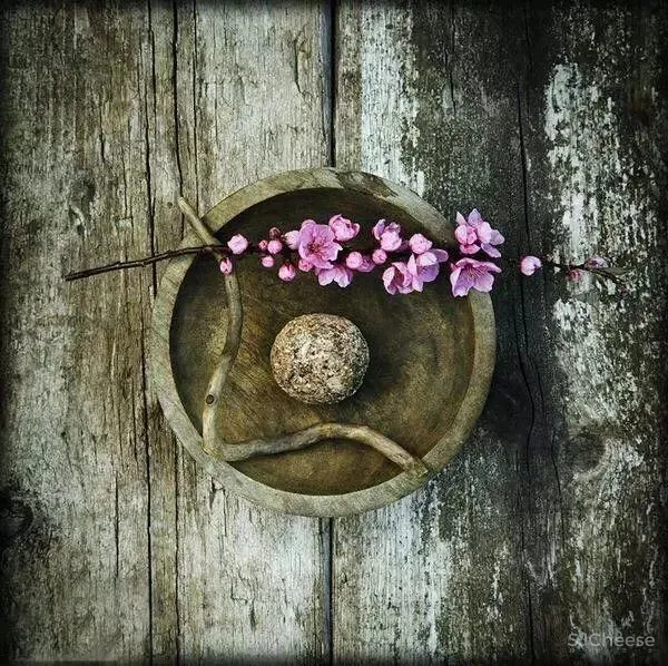 为什么现代侘寂，越来越受欢迎？