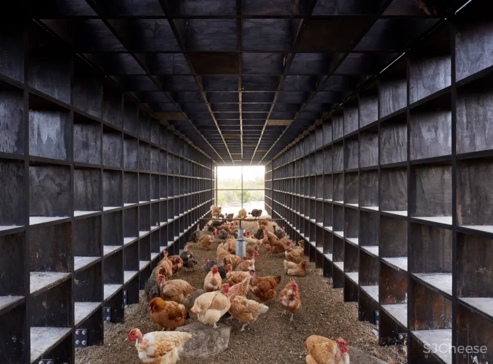 隈研吾、Snøhetta、OMA新作大赏