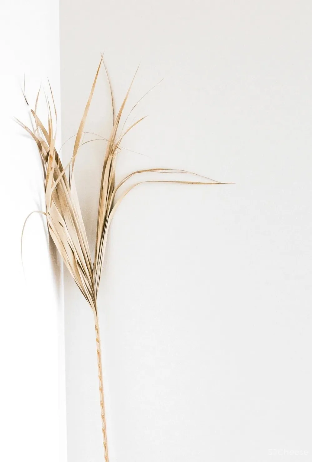 原木风设计，家就要这个简约范儿