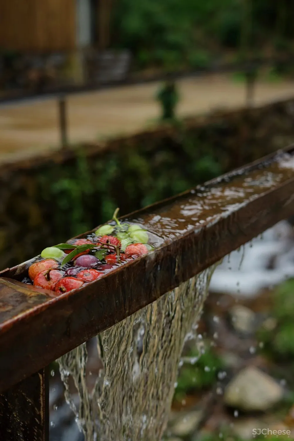 新挖到的隐秘玩水地, 直接睡入山溪间! 还原宫崎骏动漫里的夏天, 秒回无拘束童年时光