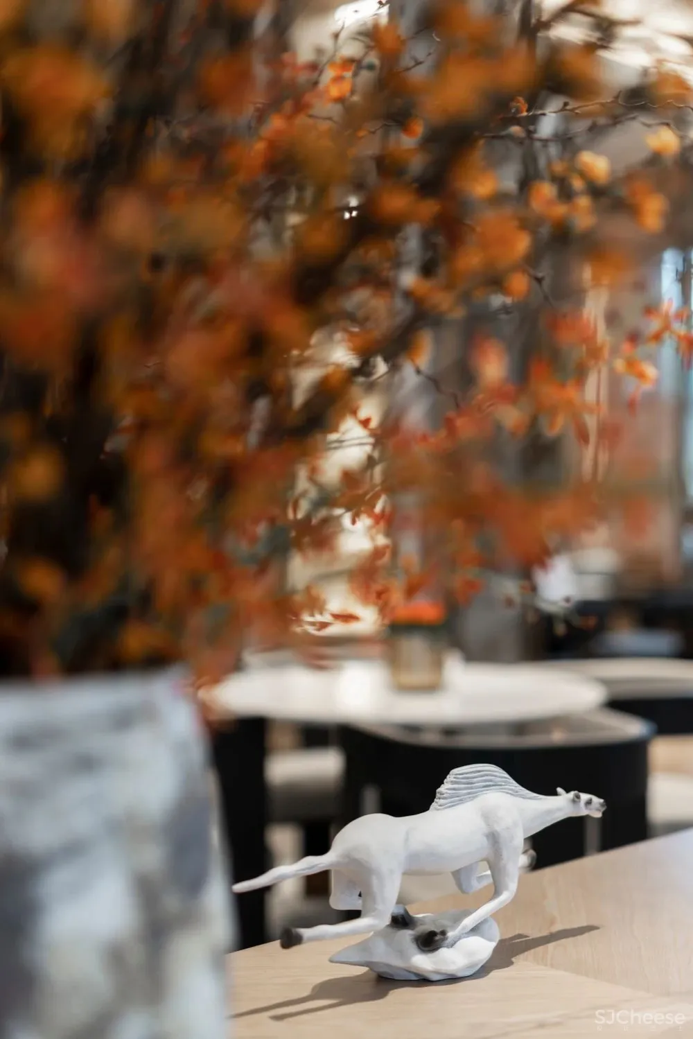 书卷与烟火 共生形态