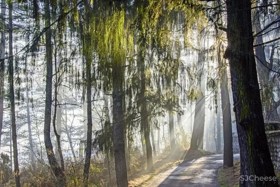 致敬传奇设计师Kerry Hill,为上海留下的唯一避世之作