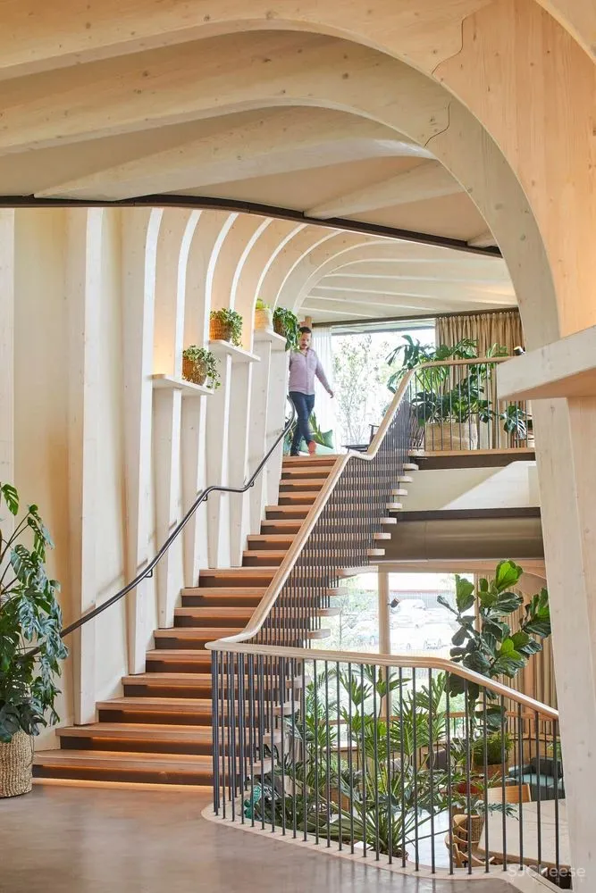 Heatherwick 新作‘麦琪癌症护理中心’，三座‘花盆’