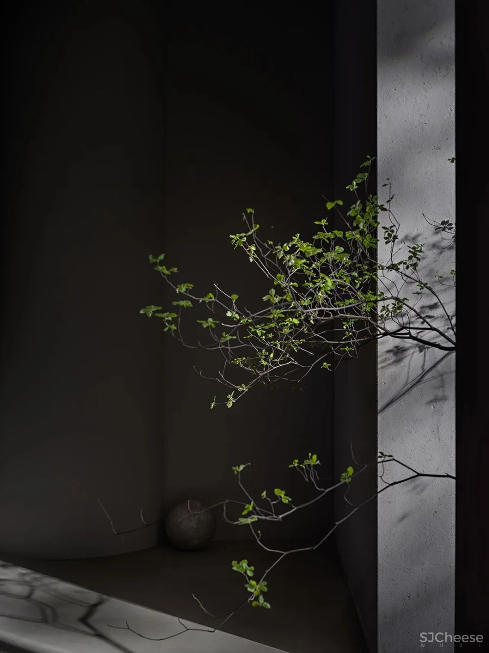 王鹏:深圳湾一号新开一家超惊艳的建筑厨房!