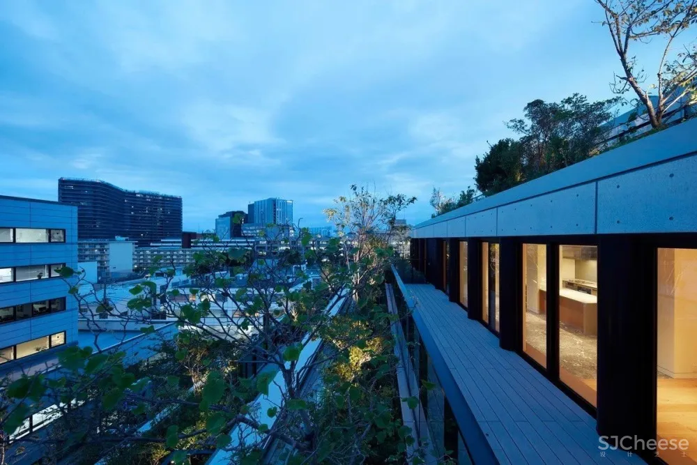 日本人的豪宅长啥样?依旧那么性冷淡!