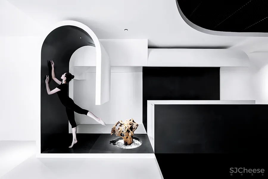 黑白,继承与再生的生活美学空间|金选民 • HOW