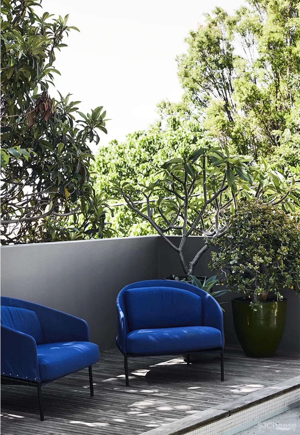 Fiona Lynch 新作 墨尔本的极简主义美学