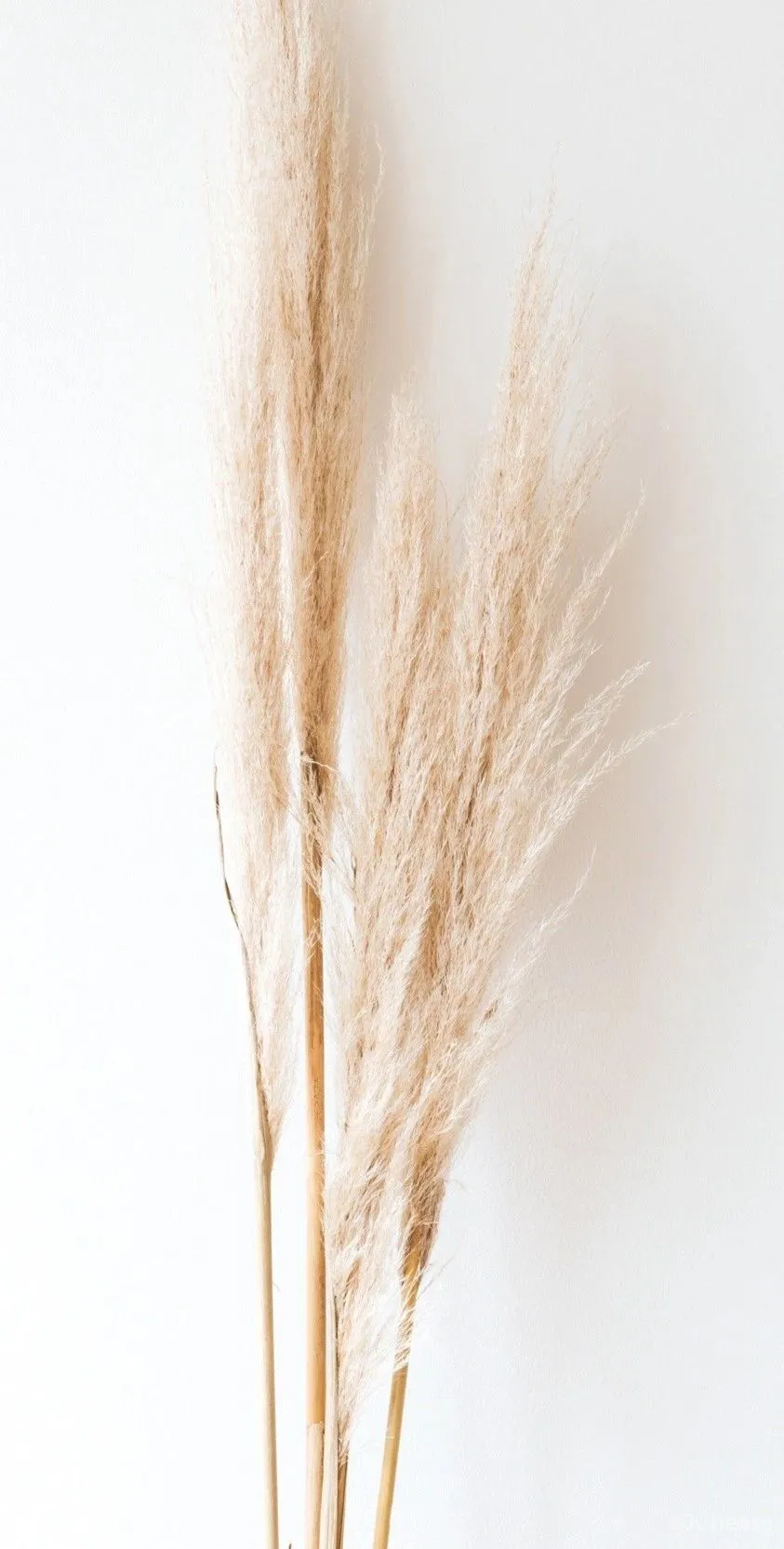 原木风设计，家就要这个简约范儿