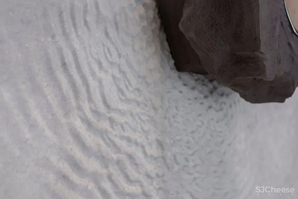 书卷与烟火 共生形态