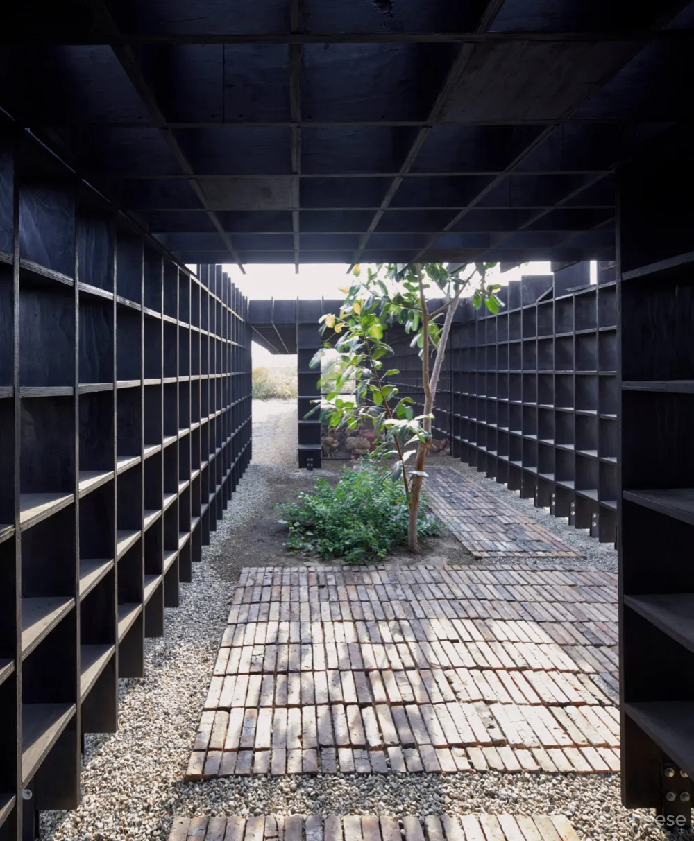 隈研吾、Snøhetta、OMA新作大赏