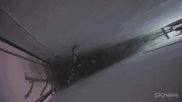 北京宅男一个人住5层别墅,却只睡1米的床