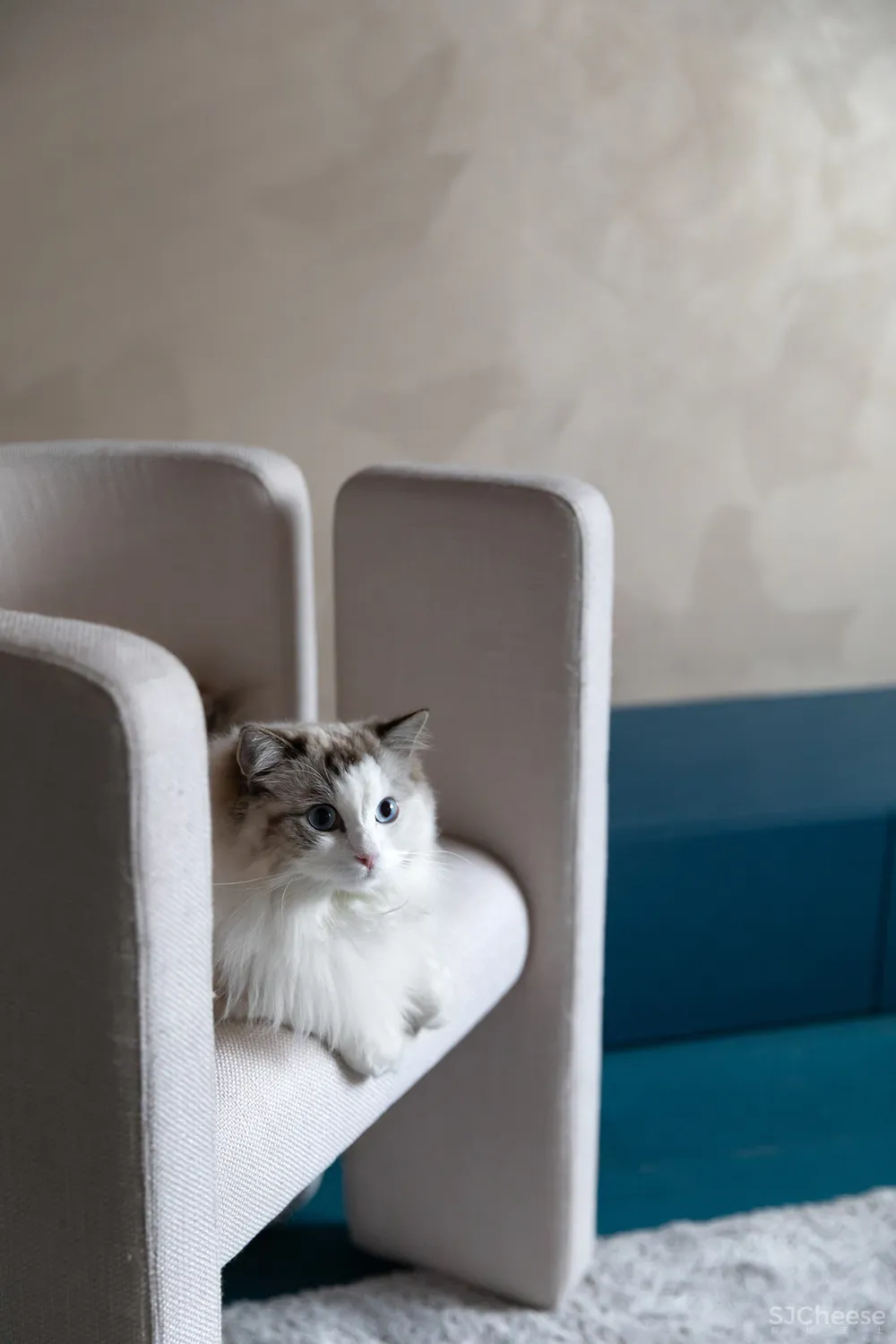 牛X的设计师,都好“色”