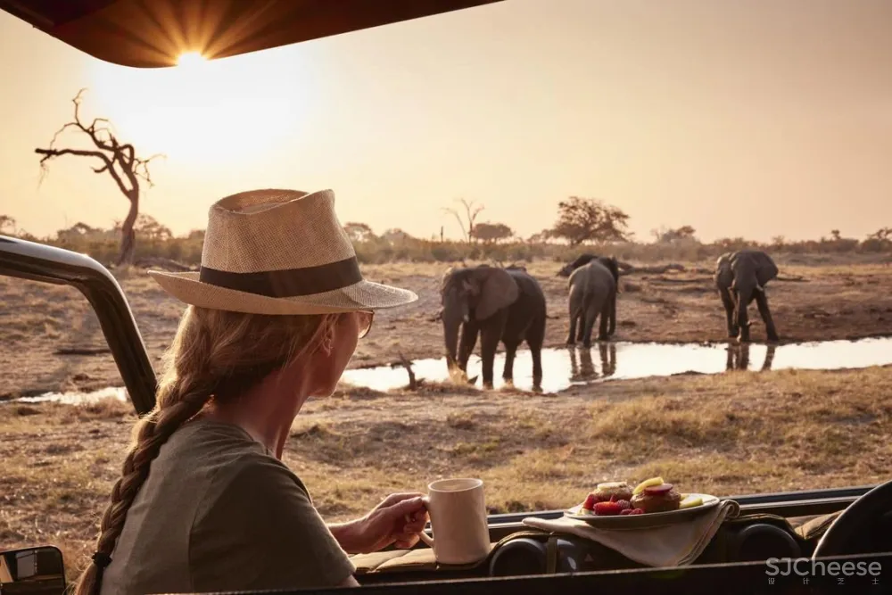 每晚均价3万 ，安缦CampSarika戳中你的，其实还是孤独感！