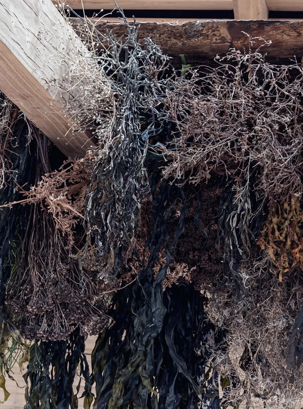 他与BIG联手操刀顶级米其林三星餐厅 NOMA 2.0,做最有气质的北欧设计!