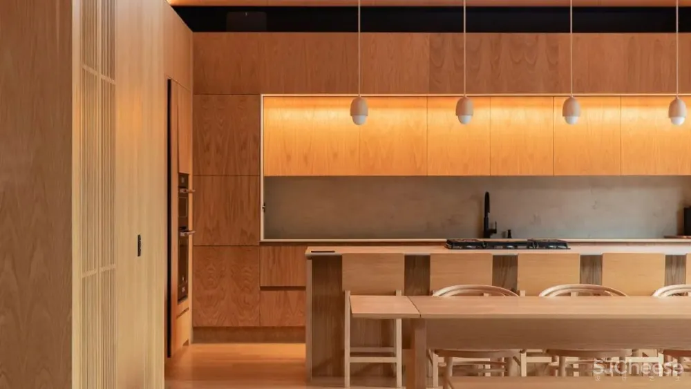 5Sólidos丨纵然人世间注定孤独 幸有些许温暖如初