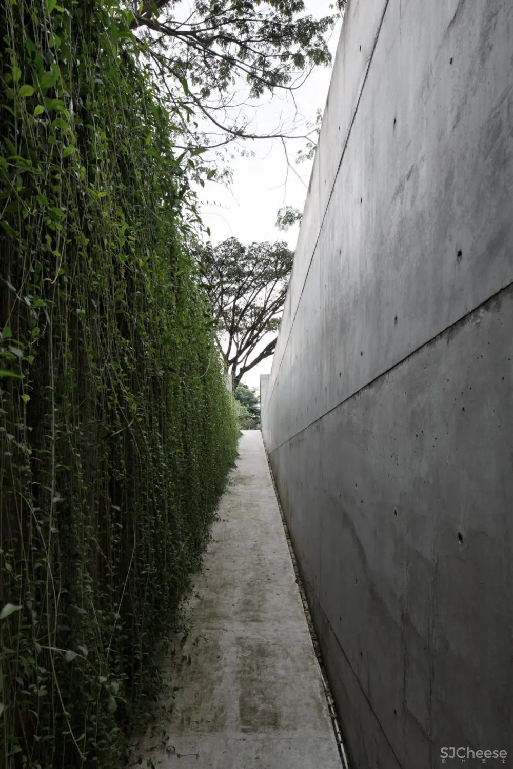 我在印度尼西亚万隆的安德鲁·马丁(Andra MATIN)