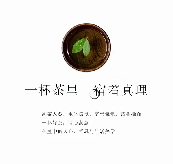 558㎡别墅设计,春光佐茶·精雅入画!