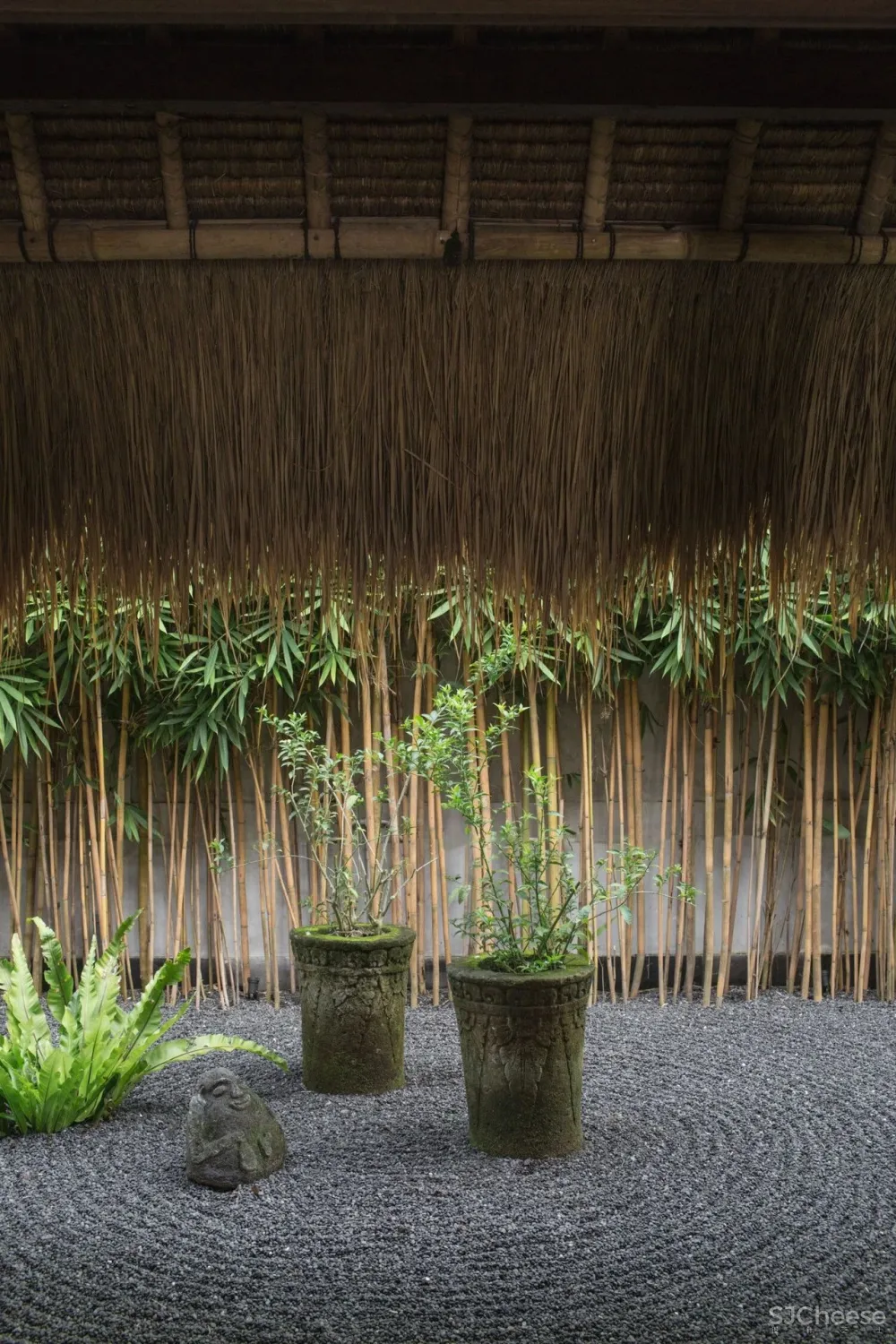 我向往的生活 简单 安静 质朴