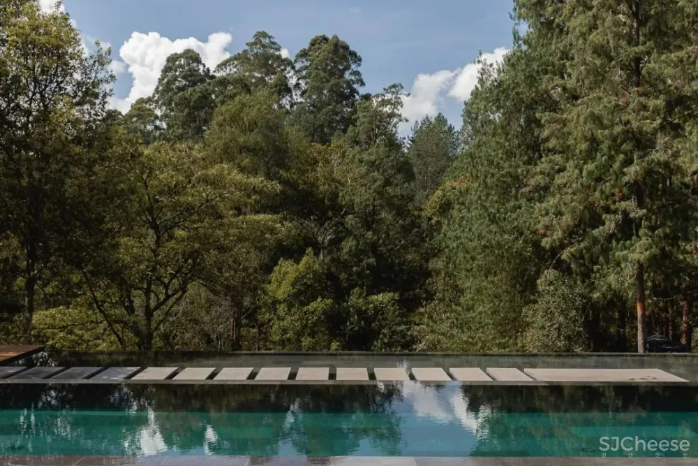 5Sólidos丨纵然人世间注定孤独 幸有些许温暖如初