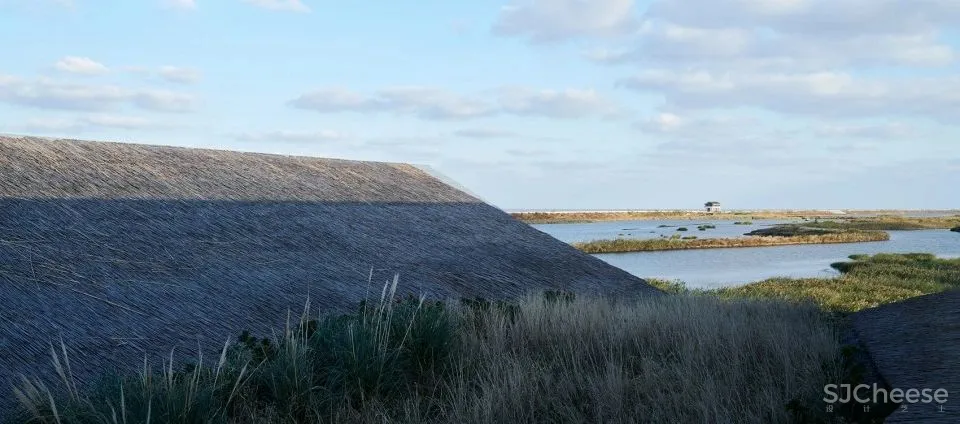 深度 崇明东滩湿地科研宣教中心：“举重若轻”