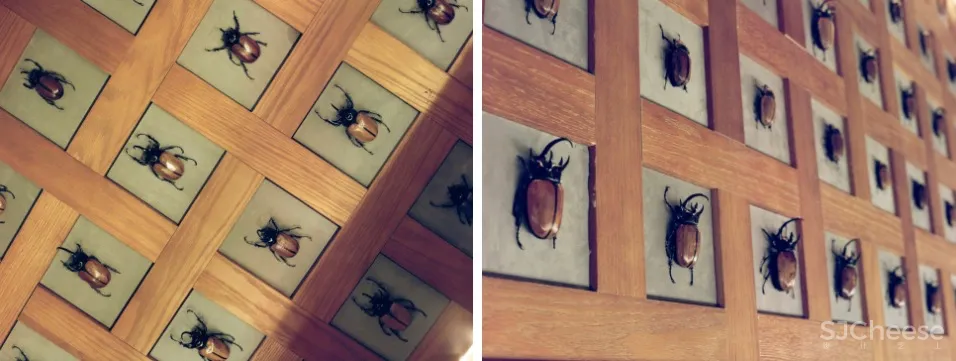 藏匿于热闹街区的秘密酒吧 |向域设计事务所