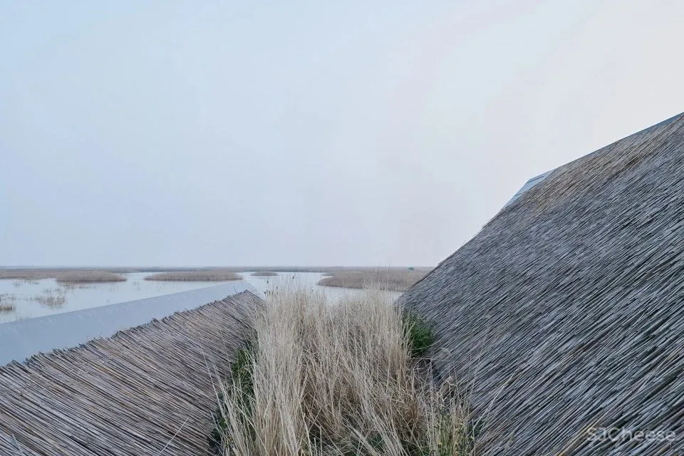 深度 崇明东滩湿地科研宣教中心：“举重若轻”