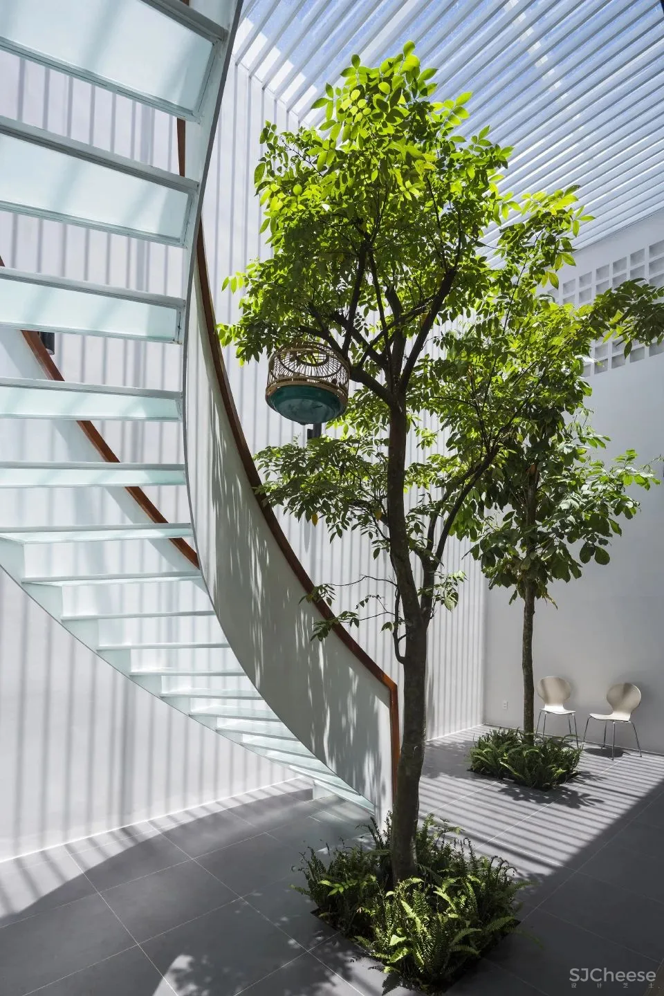 花园联系私密空间的三口之家 T住宅 Creative Architects