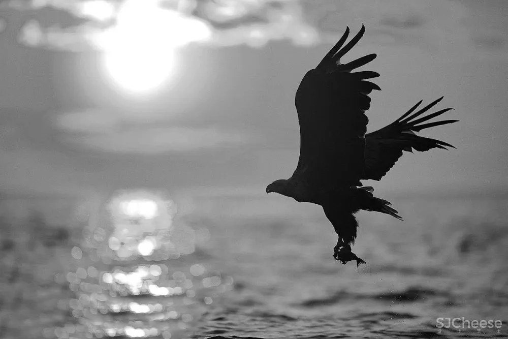 艺居设计 X 国美地产:刚柔并济的绝美设计,完美的曲线,容纳万物!