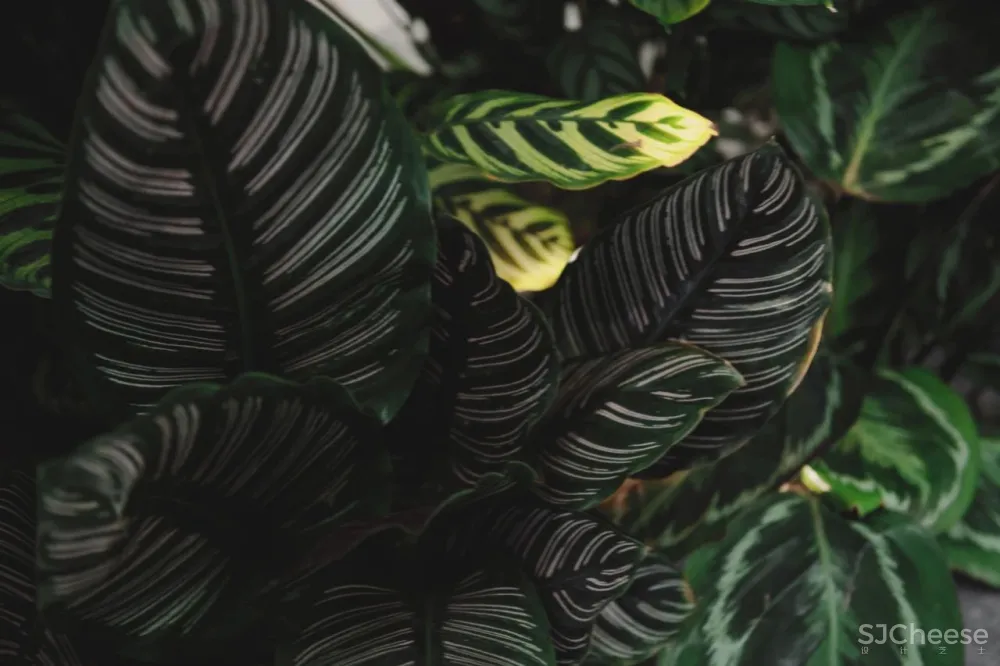 一度经纬丨香山里,在200㎡的房子里安置一座后花园