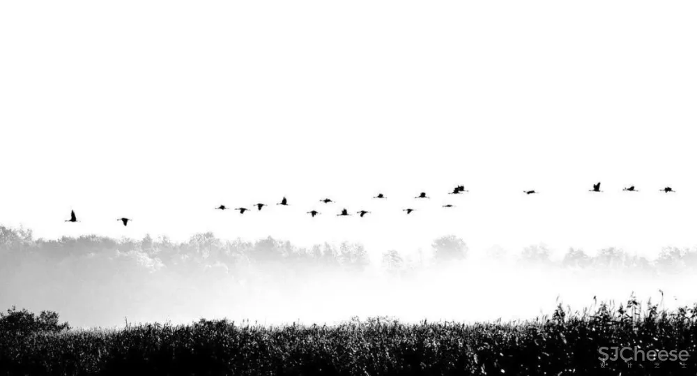 成都融创春风十里销售中心 元禾大千