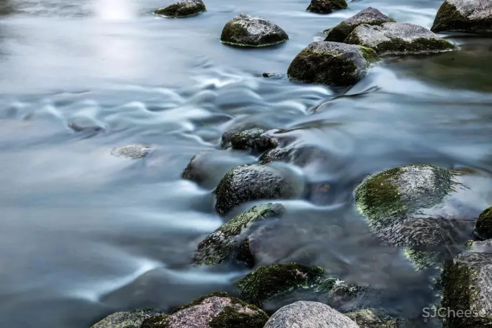 凌子达新作 疏影横斜间,延续空间的静雅