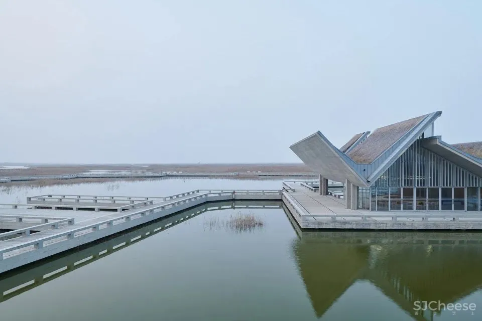 深度 崇明东滩湿地科研宣教中心：“举重若轻”