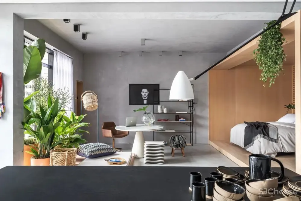 巴西原木色活力公寓 Crippa-Assis Arquitetura 新作