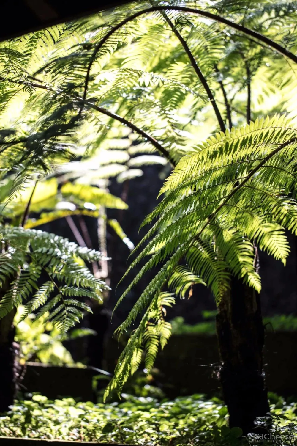 我向往的生活 简单 安静 质朴