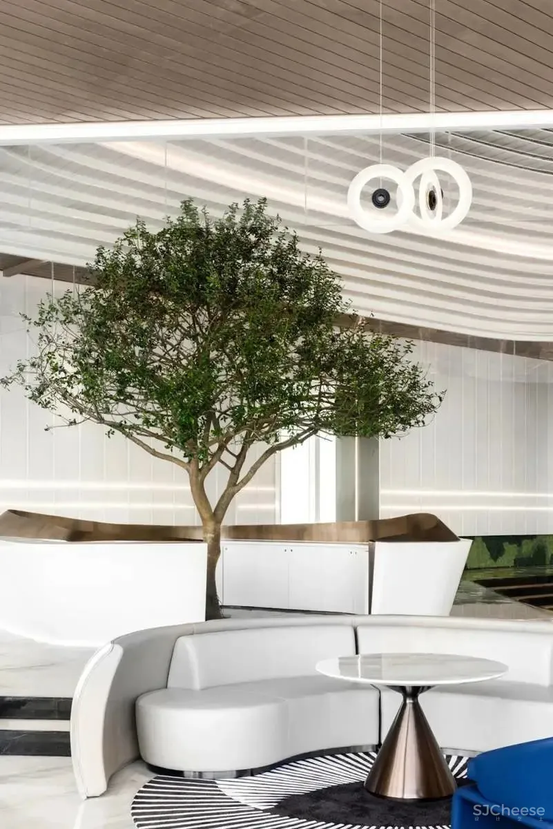 【深度】2020年，大师级的设计到底能带来什么？