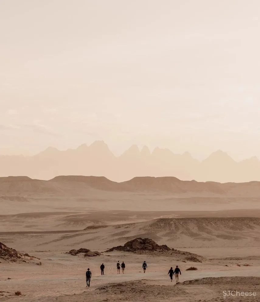 埃及新出的侘寂系酒店,心灵治愈的度假范本