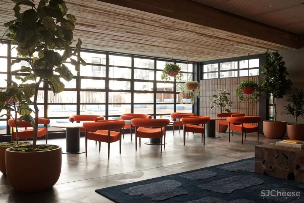 Commune色彩诱惑 大气优雅