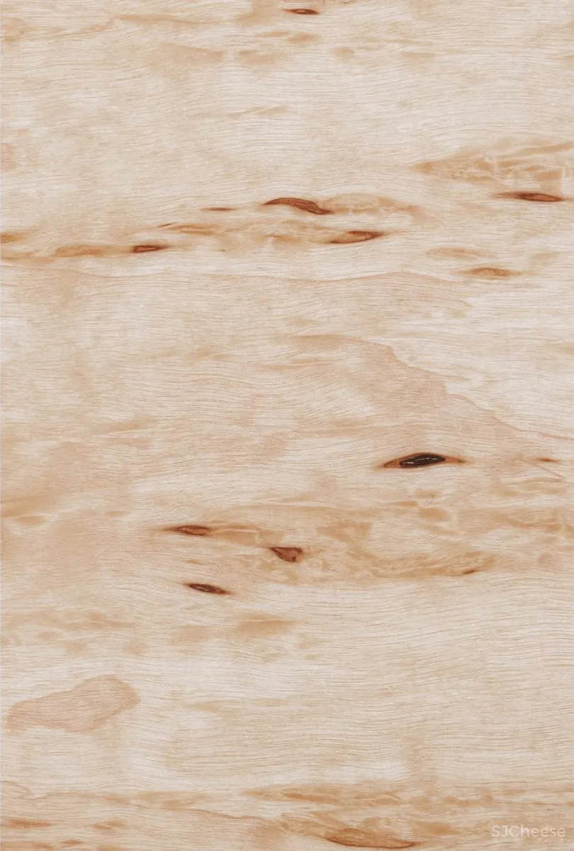 他与BIG联手操刀顶级米其林三星餐厅 NOMA 2.0,做最有气质的北欧设计!