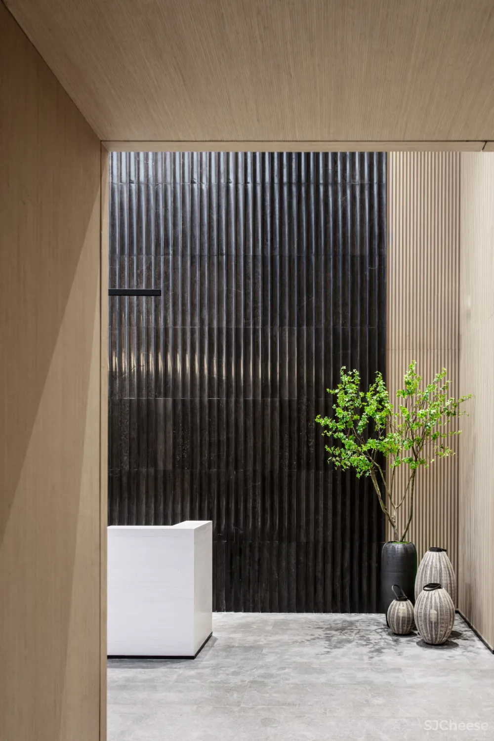 SWS 作品 郊外岛居,海上别院