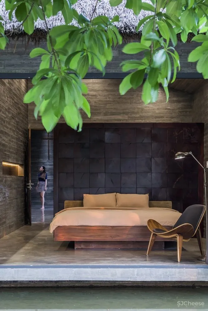 在郁郁葱葱的花园中,聆听大自然的旋律和声音