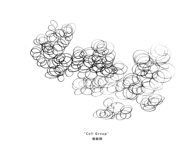 谢培河:将美容院打造成艺术馆,兼顾安静与神秘的灵性空间