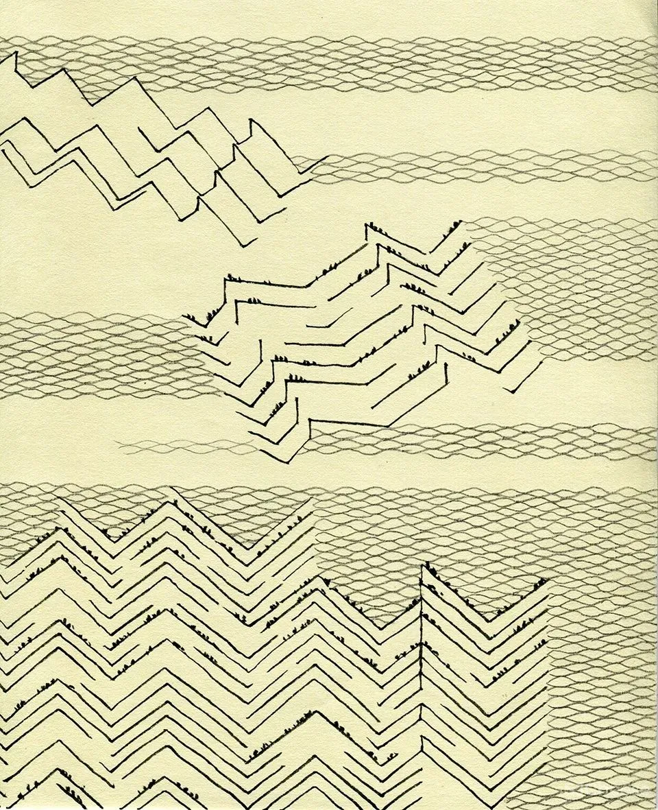 深度 崇明东滩湿地科研宣教中心：“举重若轻”